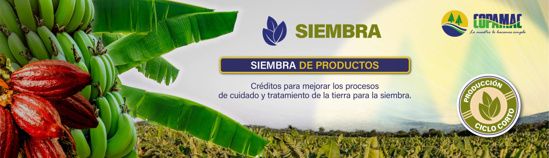 Mesa de trabajo 83 copiaCA NU